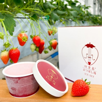 【産直】四重奏いちごアイス　よつぼし使用　愛知県みよし市　6個セット(各90ml)【配送不可地域：離島】