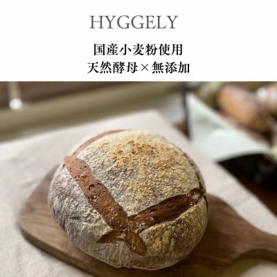 愛知県産こだわりの石窯焼きプレミアムカンパーニュ1個【配送不可地域：離島】