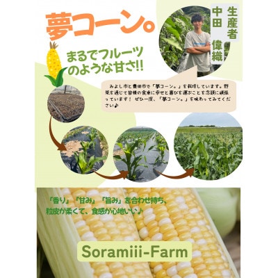 【2025年先行受付】愛知県みよし市産 朝採り「夢コーン。」 Lサイズ　40本セット　数量限定【配送不可地域：離島・沖縄県】