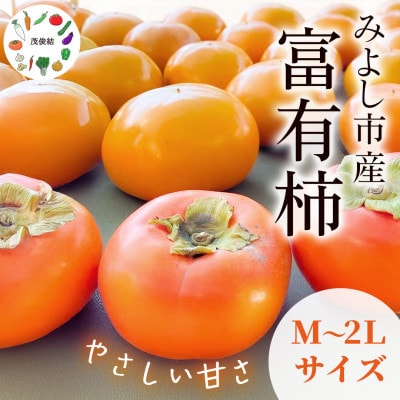 茂俊結の富有柿