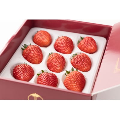 【産直】完熟よつぼし『四重奏プレミアム』　愛知県みよし市　【配送不可地域：離島・北海道・沖縄県】