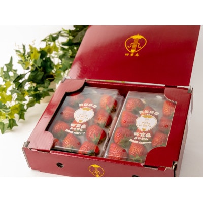 【産直】完熟よつぼし『四重奏』　愛知県みよし市　4パック(約1kg)【配送不可地域：離島・北海道・沖縄県】