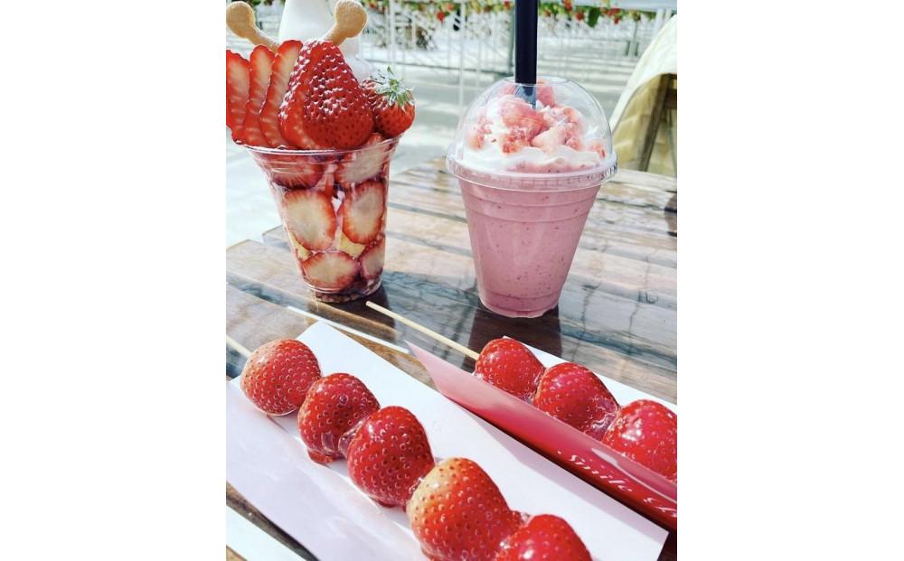 すまいるベリーズ長久手　利用券6,000円分