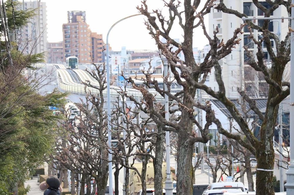 ホットストーンロミロミ　施術体験チケット （半身50分コース）