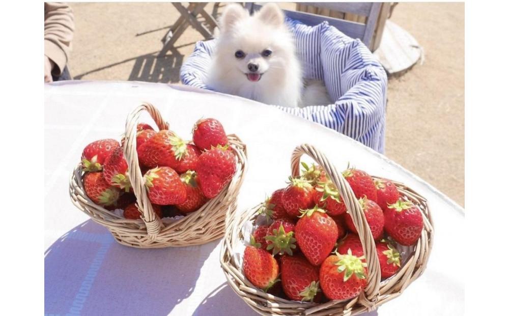 すまいるベリーズ長久手　利用券15,000円分