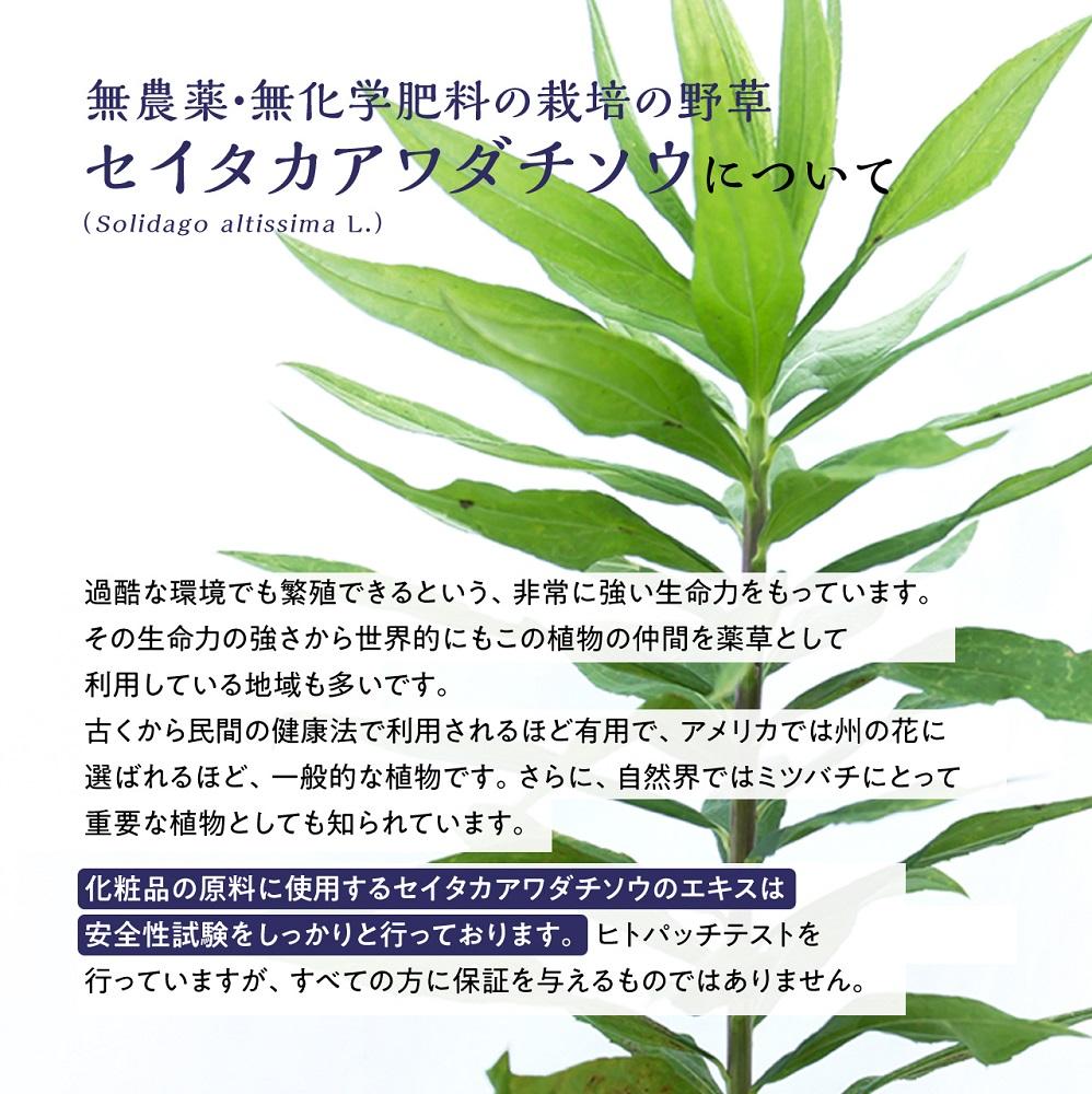 100％天然原料　入浴剤 バスソルト ゴールデンロッド1000g（1回15g使用で66回分）