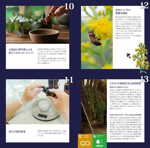 ボディソープ ゴールデンロッド 500ml 33回 世界初 植物エキス 保湿 無着色 天然 ギフト 日本製 美容 化粧品 雑草 セイタカアワダチソウ