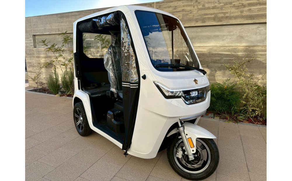 電動トゥクトゥクレンタルチケット＜3時間＞