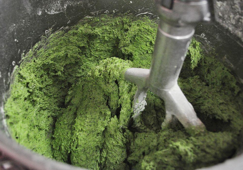 長久手土産「壹茶(いっさ)」（10個×2箱）と家康のおやつ(8個×3缶)アソートセット