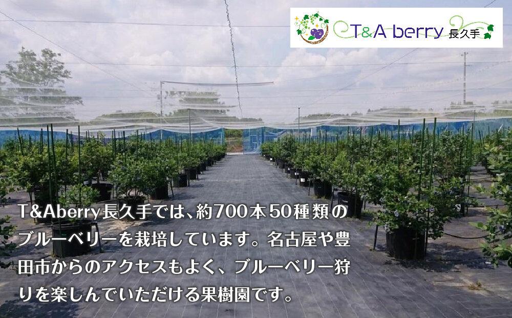 【摘みたてフレッシュ】一粒一粒ていねいに摘み取ったブルーベリーを生のままお届け　900g(150g×6パック）