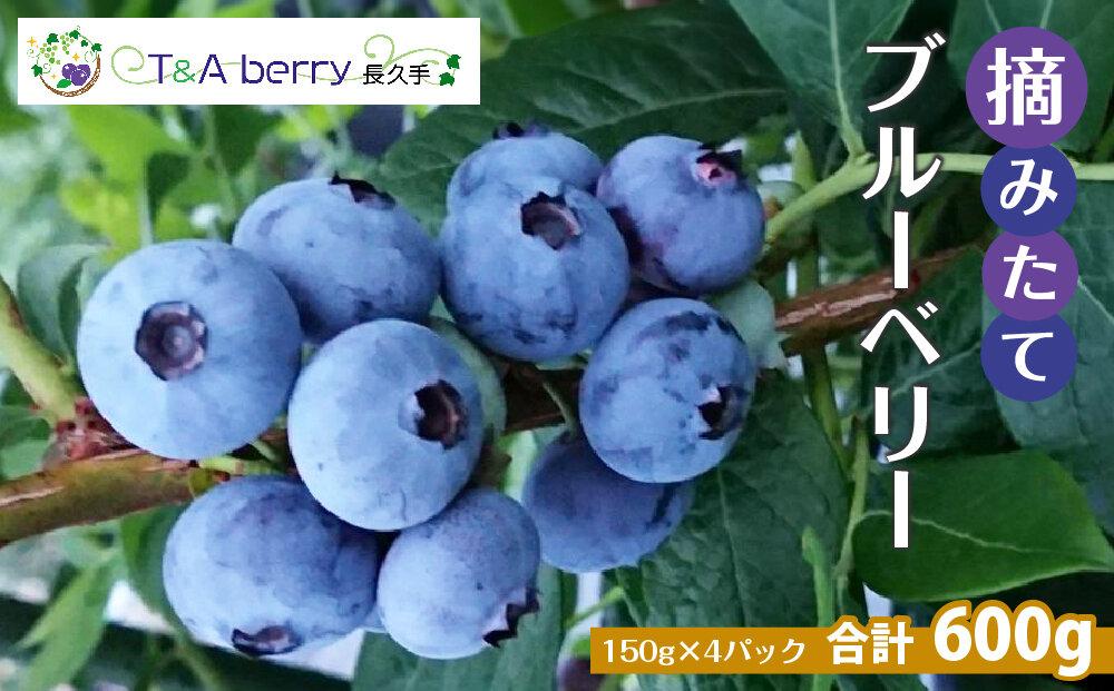 【摘みたてフレッシュ】一粒一粒ていねいに摘み取ったブルーベリーを生のままお届け　600g(150g×4パック）