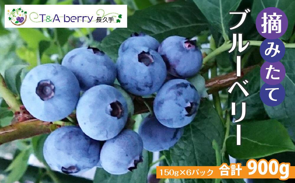 【摘みたてフレッシュ】一粒一粒ていねいに摘み取ったブルーベリーを生のままお届け　900g(150g×6パック）