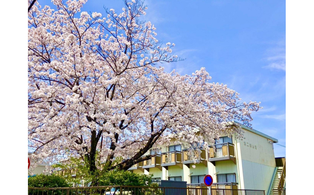 長久手市内での短期入居体験 (1ヶ月)