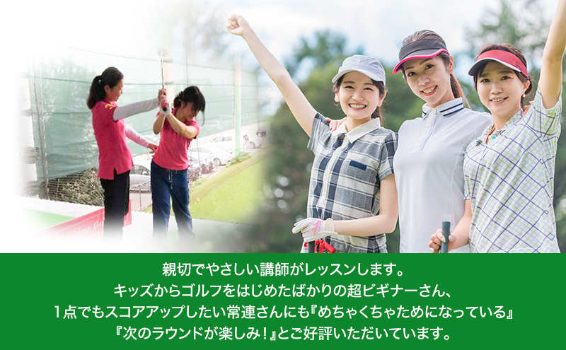 さらしなゴルフクラブ ゴルフスクール 1回券(60分) 2枚 ゴルフ 教室 打ちっぱなし 練習 スポーツ トレーニング レッスン スコア 練習場 送料無料 愛知県 蟹江町