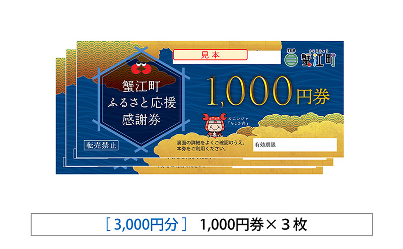 感謝券 【大松屋】感謝券3,000円相当 (1,000円×3枚) 食事券 お食事券 食事 券 和食 バル 飲食 ディナー 蟹江町 愛知県