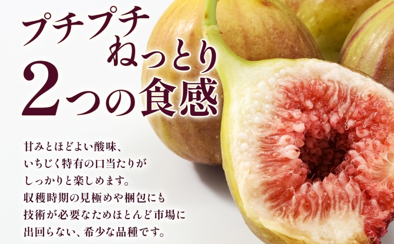 数量限定 いちじく 蓬莱柿 ほうらいし 約1kg 8粒～12粒 朝穫れ 果物 フルーツ 無花果 イチジク 愛知県産 デザート おやつ 食後 朝採り 産地直送 お取り寄せ 送料無料 名古屋西青果 愛知県 蟹江町