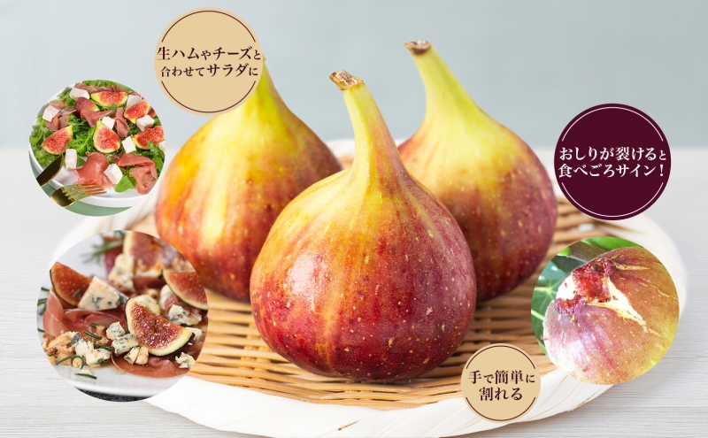 数量限定 いちじく 蓬莱柿 ほうらいし 約1kg 8粒～12粒 朝穫れ 果物 フルーツ 無花果 イチジク 愛知県産 デザート おやつ 食後 朝採り 産地直送 お取り寄せ 送料無料 名古屋西青果 愛知県 蟹江町