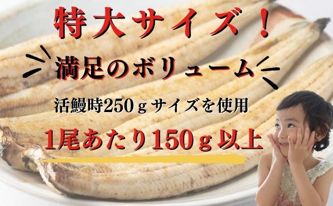 新仔うなぎ 白焼き 3尾 150g以上 かね梅 鰻 ウナギ 国産 三河一色産 手焼き 炭火焼き 炭火 丑の日 簡単調理 小分け 真空パック うな重 うな丼 ひつまぶし お取り寄せ 人気 グルメ ギフト 贈答 贈り物 送料無料 株式会社かね梅 愛知県【 蟹江町 】