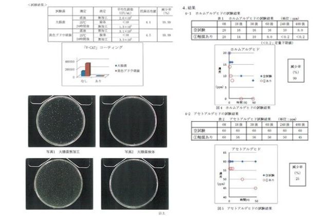 光触媒人工観葉樹・花「空気清浄樹」Cタイプ