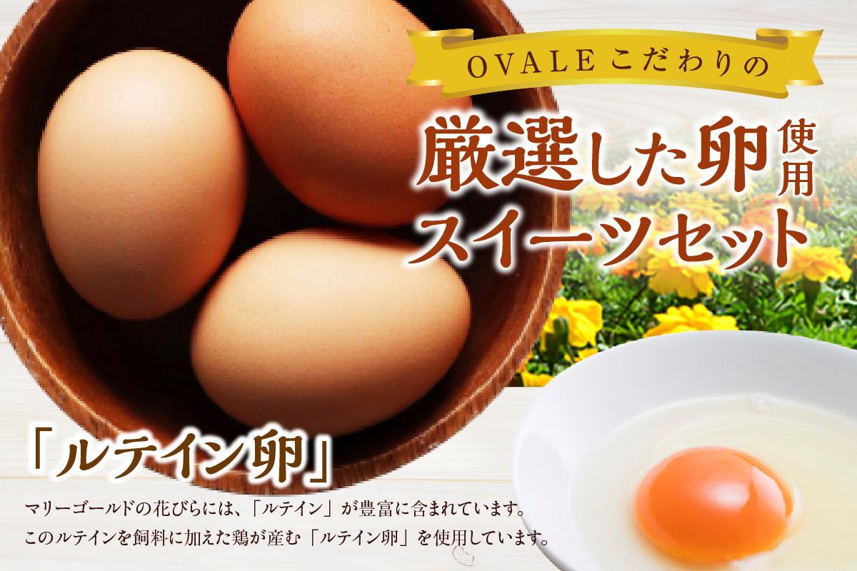 濃密ルテinプリン＆ブリュレバウム セット 