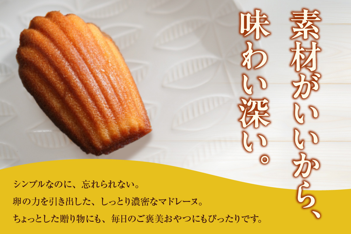 マドレーヌ 14個入 