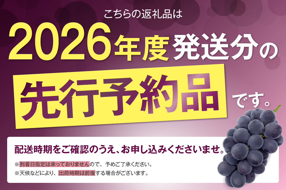 【先行予約】【2026年8月発送】東浦町産 種なし巨峰・約1kg