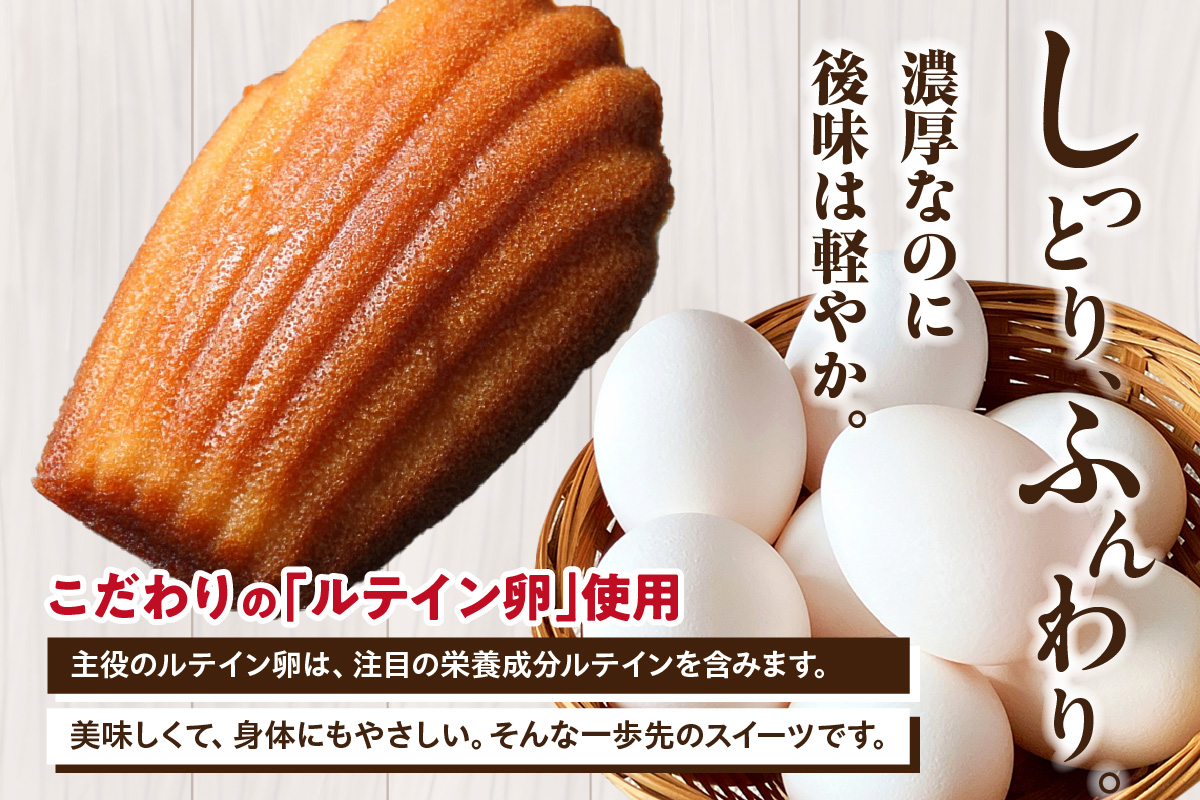 【お歳暮 内熨斗対応可能】マドレーヌ 14個入