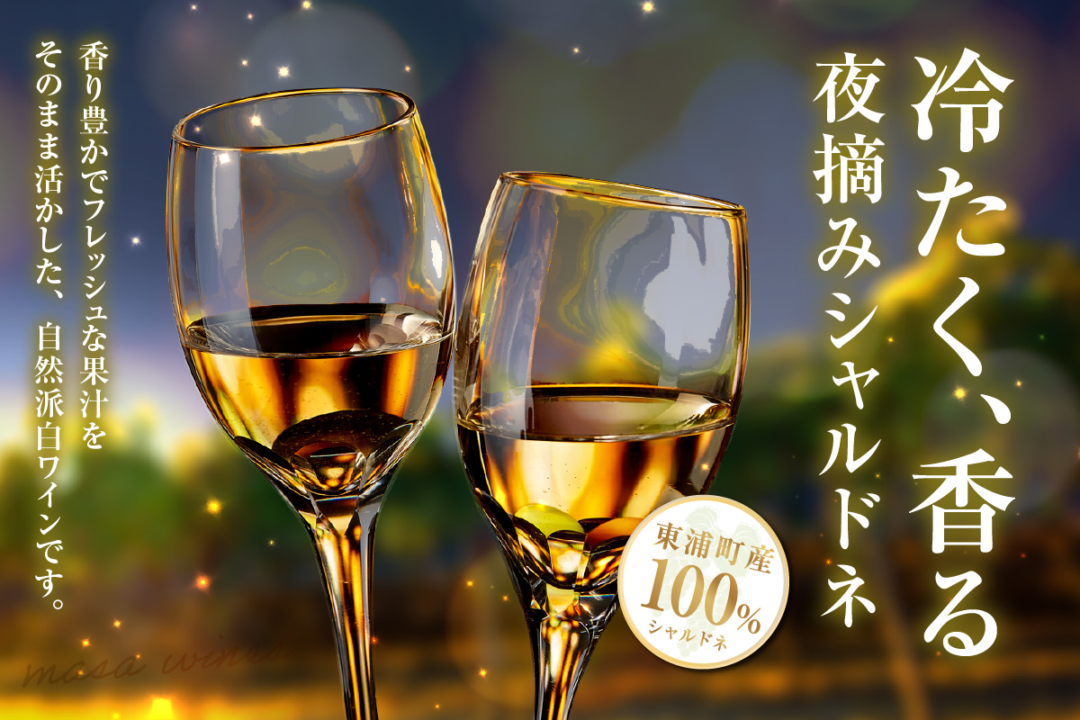 Chardonnay2023 爽 750ml 白ワイン 2本セット｜シャルドネ 無添加 無濾過 国産 日本ワイン 愛知県 東浦町