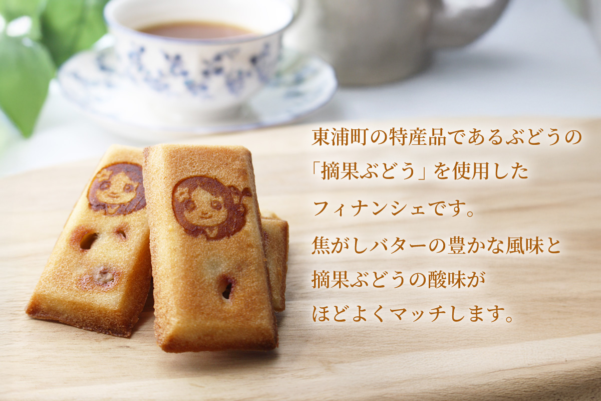 おだいちゃんフィナンシェ（9個入り）│フィナンシェ 焼き菓子 洋菓子 ぶどう 摘果ぶどう mottainai お土産 特産 愛知県 東浦町