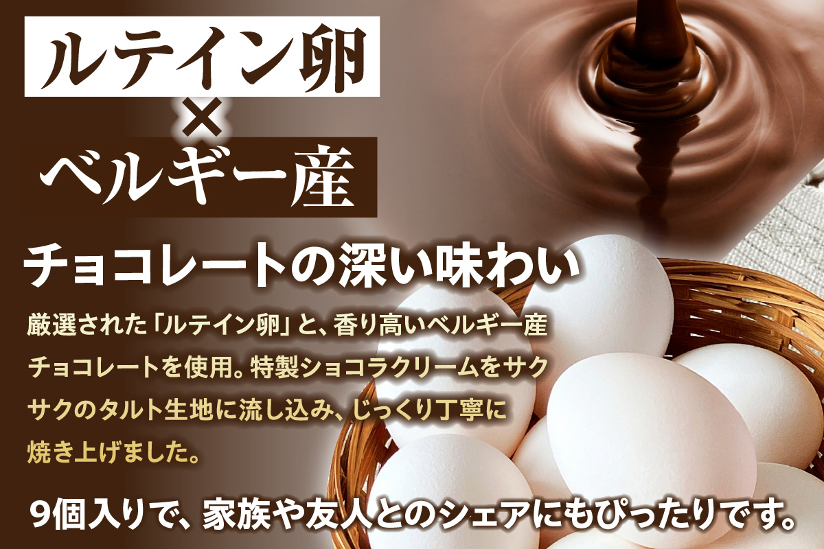 ショコラエッグタルト 9個入