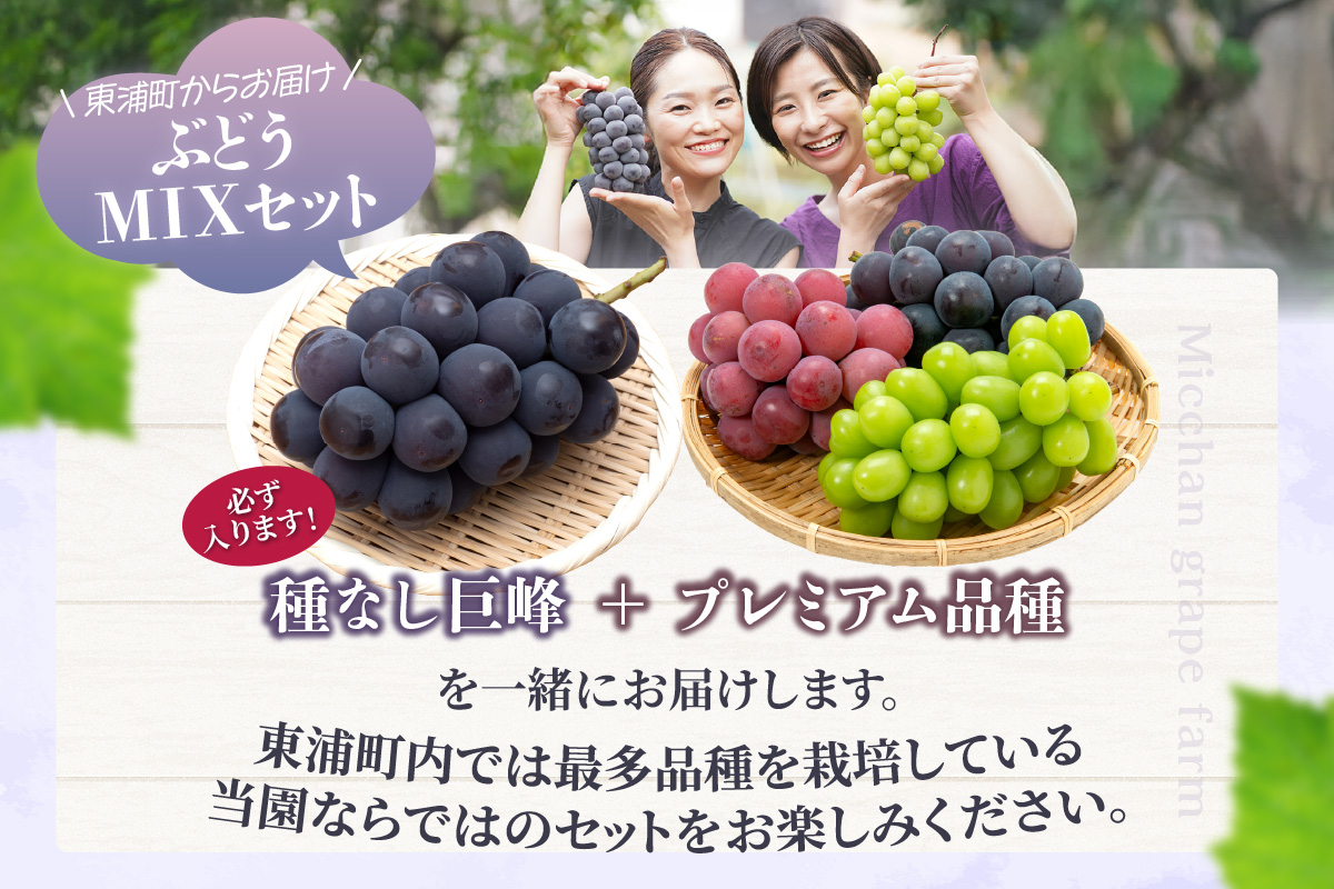 【先行予約】【2026年8月発送】東浦町産 ぶどうMIX・約1kg