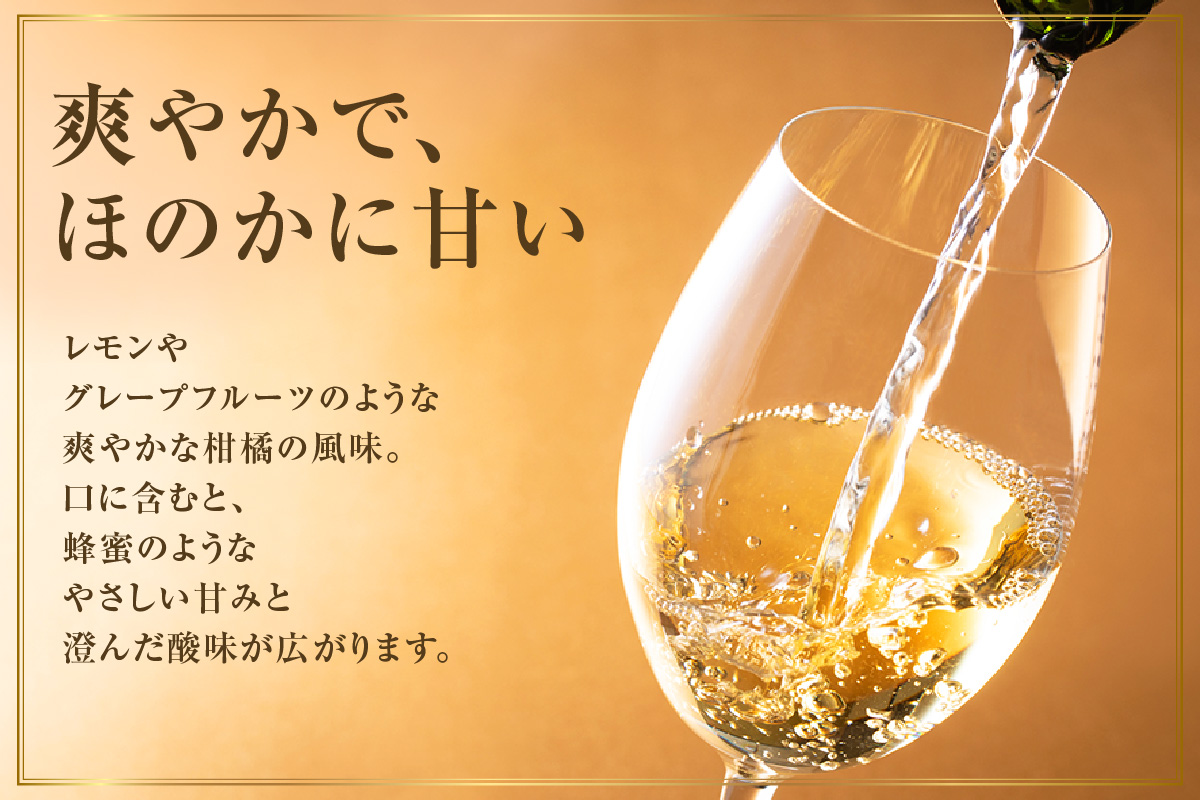 Chardonnay2023 爽 750ml 白ワイン 2本セット｜シャルドネ 無添加 無濾過 国産 日本ワイン 愛知県 東浦町