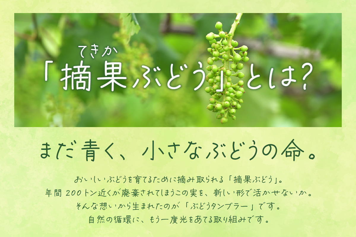 摘果ぶどうのタンブラー（ぶどう濃度3％）