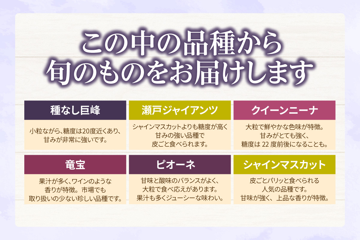 【先行予約】【2026年8月発送】東浦町産 ぶどうMIX・約1kg