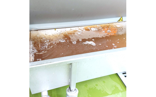 Chardonnay2023 爽 750ml 白ワイン｜シャルドネ 無添加 無濾過 国産 日本ワイン 愛知県 東浦町