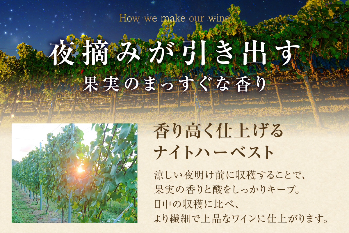 Chardonnay 2024/2025 爽 Assemblage 750ml・1本｜シャルドネ 白ワイン 無添加 無濾過 国産 日本ワイン 愛知県 東浦町