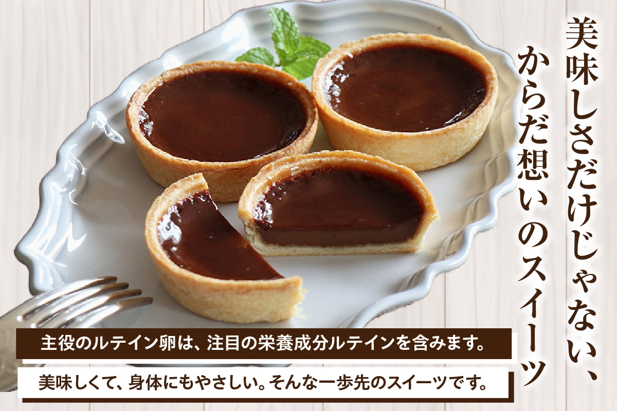 ショコラエッグタルト 9個入