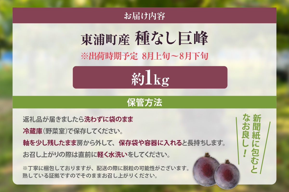 【先行予約】【2026年8月発送】東浦町産 種なし巨峰・約1kg