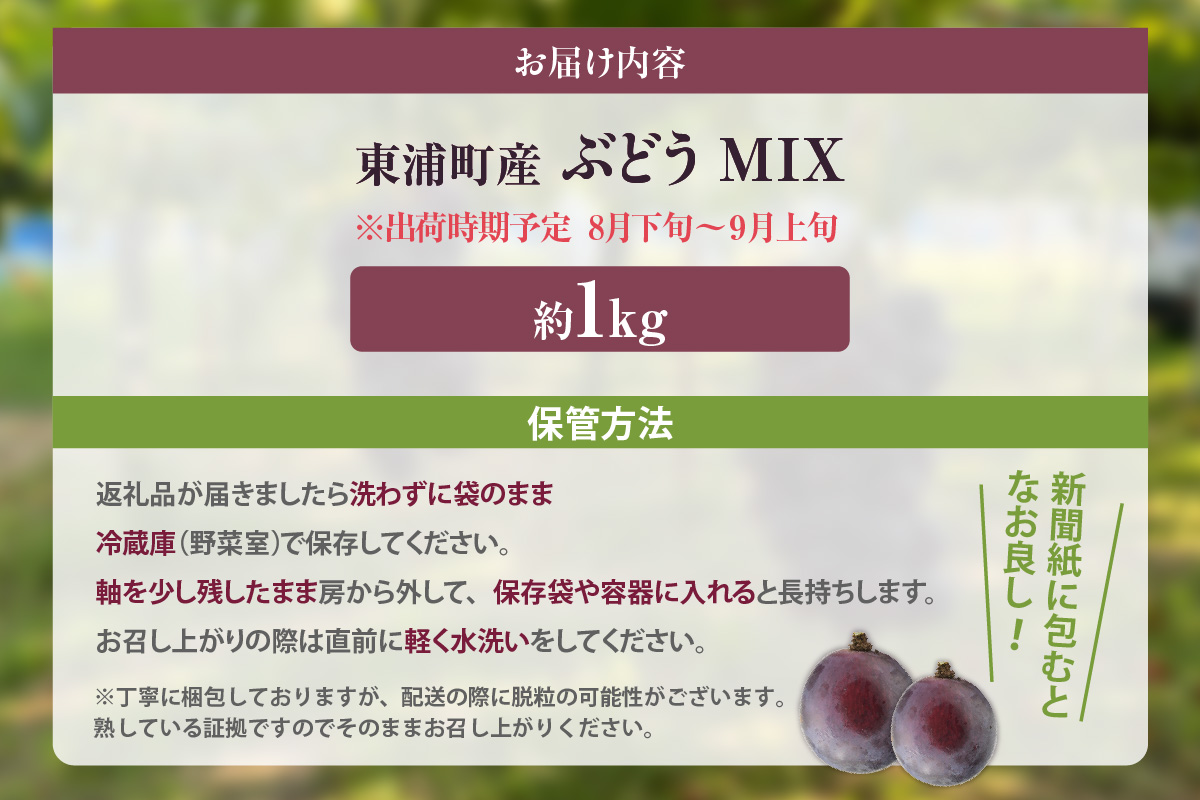 【先行予約】【2026年8月発送】東浦町産 ぶどうMIX・約1kg
