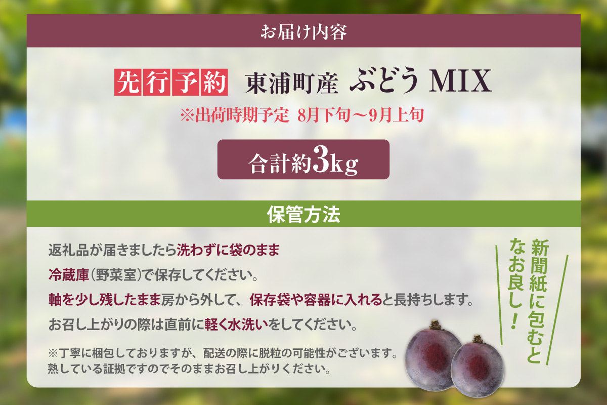 【先行予約】【2026年8月発送】東浦町産 ぶどうMIX・約3kg（2kg＋1kg！）【みっちゃんぶどう園】