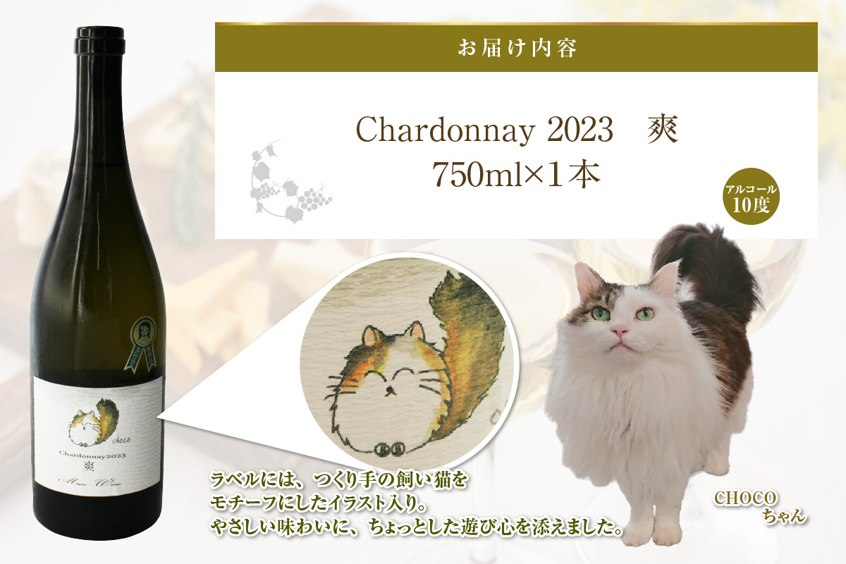 Chardonnay2023 爽 750ml 白ワイン｜シャルドネ 無添加 無濾過 国産 日本ワイン 愛知県 東浦町