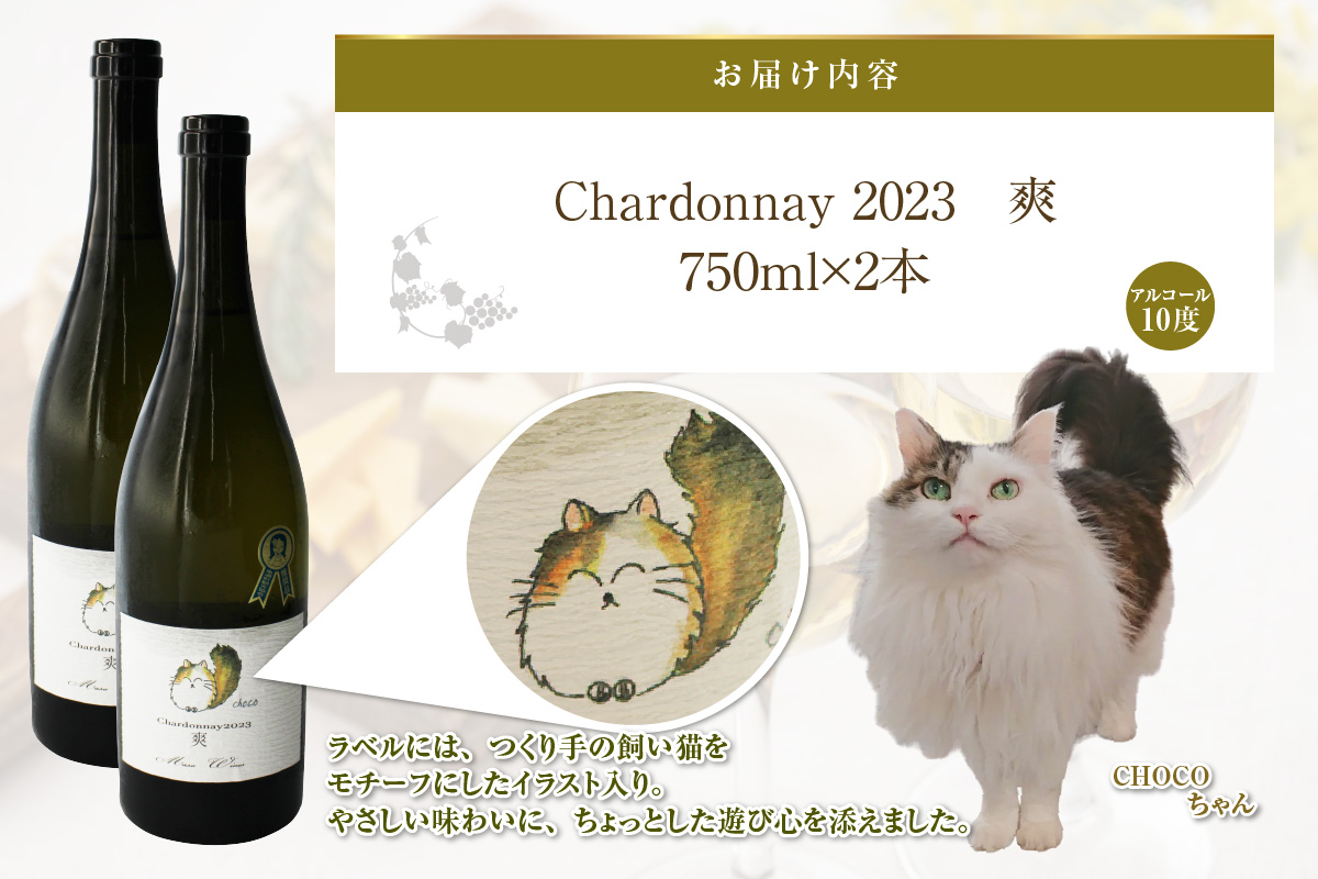 Chardonnay2023 爽 750ml 白ワイン 2本セット｜シャルドネ 無添加 無濾過 国産 日本ワイン 愛知県 東浦町