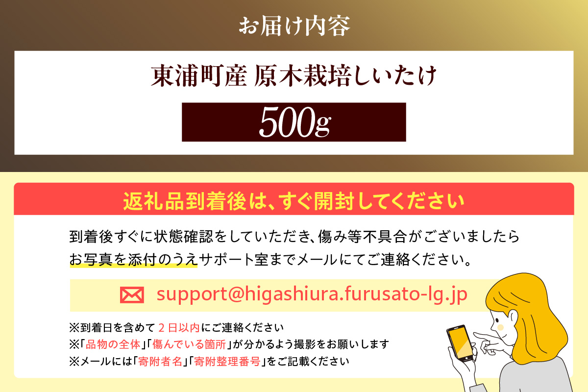 東浦町産 原木栽培生しいたけ（約500g）│椎茸 原木栽培 生 国産 愛知県