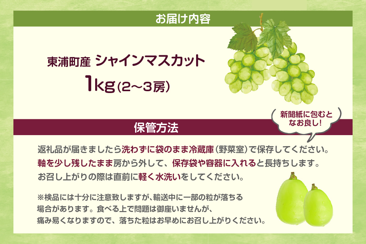 【先行予約】＜2026年発送＞東浦町産シャインマスカット 1kg（2～3房）│ぶどう ブドウ マスカット 葡萄 フルーツ 果物 新鮮 農家直送 フレッシュ デザート おやつ 種なし 皮ごと 愛知県 東浦町