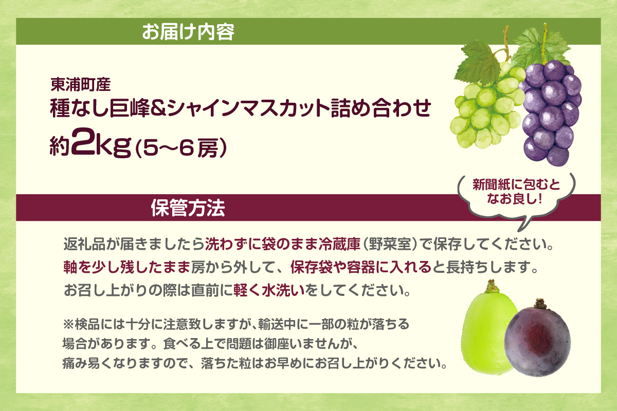 【先行予約】＜2026年発送＞東浦町産 種なし巨峰＆シャインマスカット詰め合わせ　約2kg（5～6房）│ぶどう ブドウ マスカット 葡萄 巨峰 種なし 種無し シャインマスカット 高級 フルーツ 果物 新鮮 農家直送 フレッシュ デザート おやつ 種なし 皮ごと 愛知県 東浦町