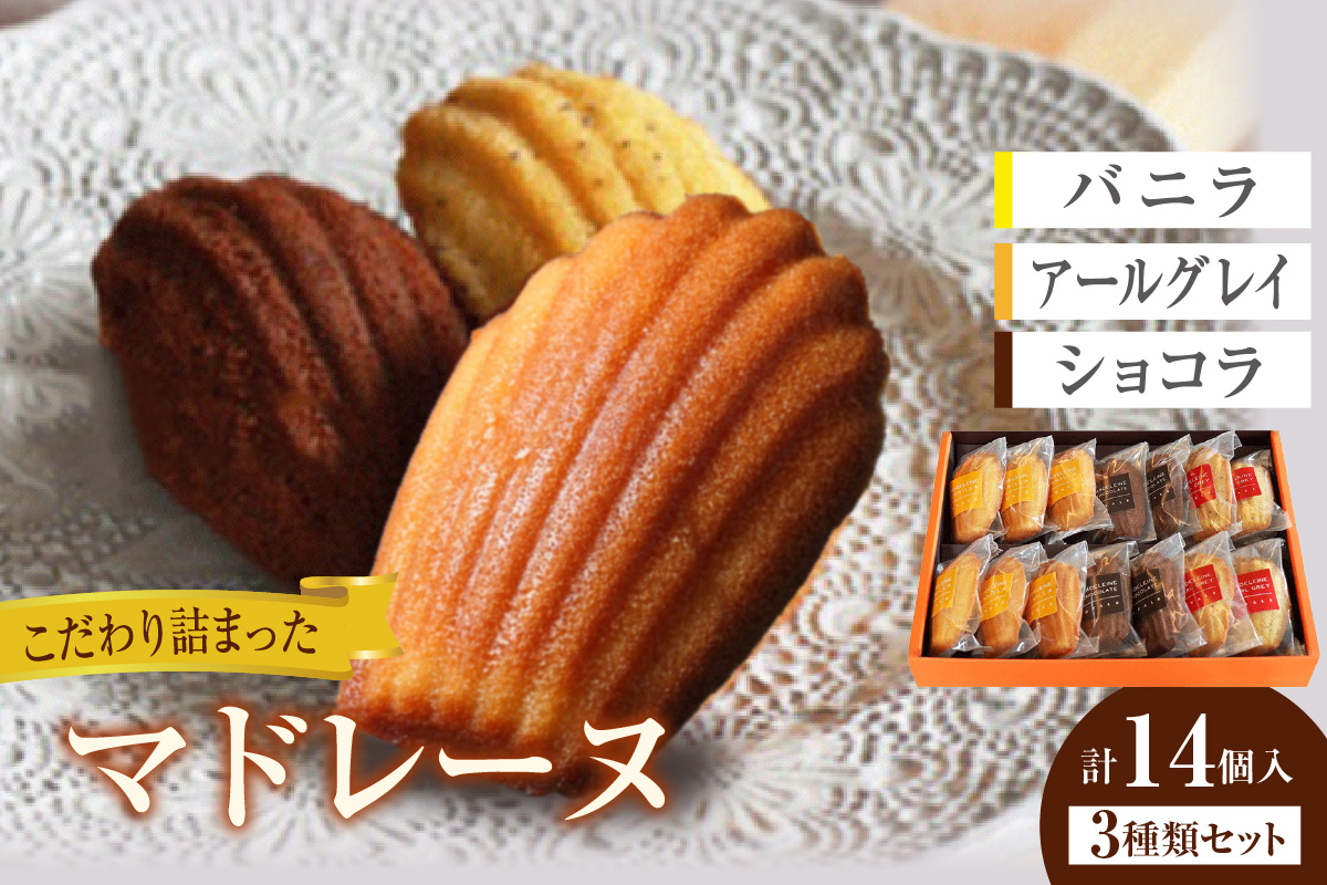 マドレーヌ 14個入 
