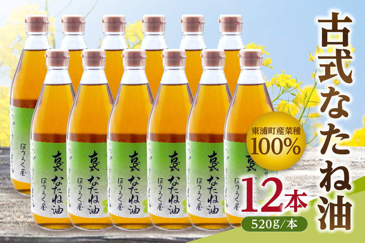 古式なたね油 (東浦町産菜種100%) 520g入り 12本｜菜種油 調味料 国産 無農薬 愛知県