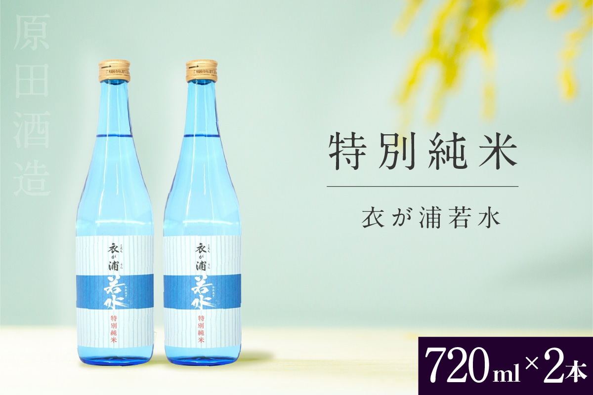 知多半島東浦の地酒【衣が浦 若水】特別純米酒 720ml×2本｜日本酒 愛知県産酒造好適米 若水 原田酒造 愛知県