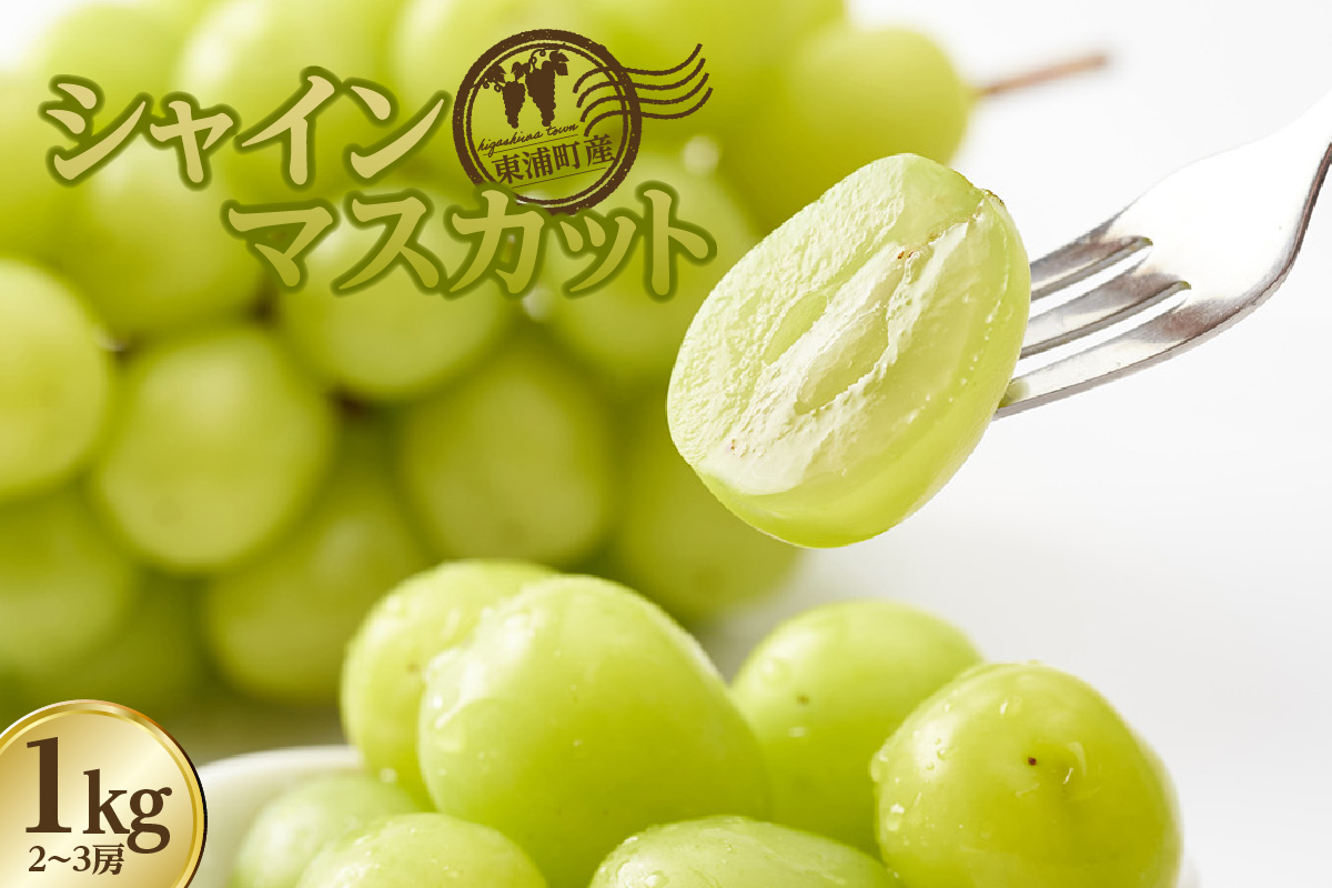【先行予約】＜2026年発送＞東浦町産シャインマスカット 1kg（2～3房）│ぶどう ブドウ マスカット 葡萄 フルーツ 果物 新鮮 農家直送 フレッシュ デザート おやつ 種なし 皮ごと 愛知県 東浦町