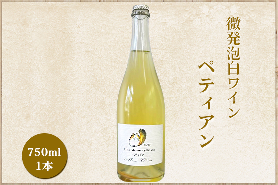 微発泡白ワイン Chardonnay2023 ペティアン 750ml (1本)|ワイン スパークリング シャルドネ 無添加 無濾過 国産 日本ワイン 愛知県 東浦町 [0701]